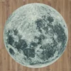 Mohawk Gray Moon Round Area Rug