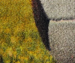 Soccer Goal Green & Tan Area Rug, (5' X 8') -Carpet Promotion 810599742 A8 3