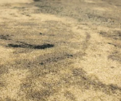 Brandt Gray Abstract Area Rug, (5' X 8') -Carpet Promotion 810600254 A8 3