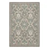 Coastal Desire Light Gray & Turquoise Ornamental Outdoor Area Rug, (4' X 5.5')